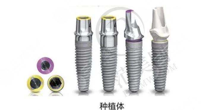 瑞士it I种植牙