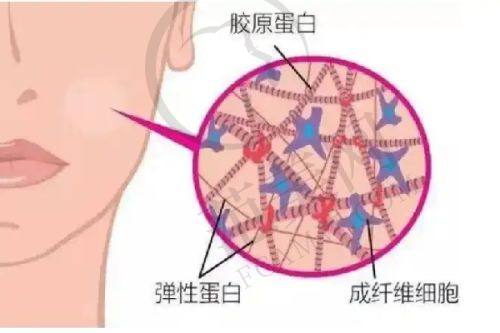 乌鲁木齐伊丽莎白整形医院价格表