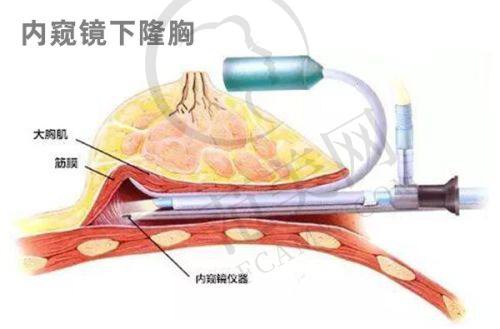 海口瑞韩医学美容医院项目特色