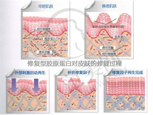 乌鲁木齐伊丽莎白整形医院口碑好不好？附真实患者口碑评价