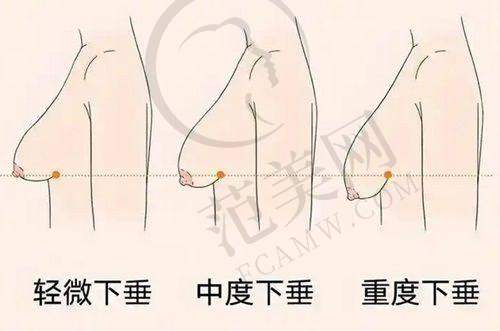 李冬梅医生的执医荣誉情况