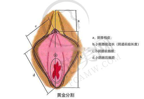 九、宝鸡市中 心医院医美收费价格情况分析