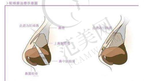 李冬梅医生的个人资料简介