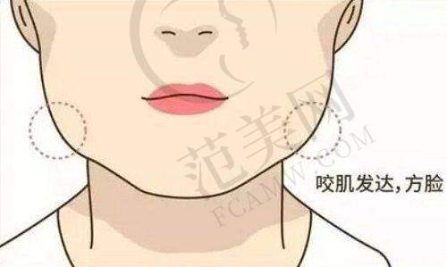 乌鲁木齐伊丽莎白整形美容脂肪胶丰胸58000元起是否划算分析