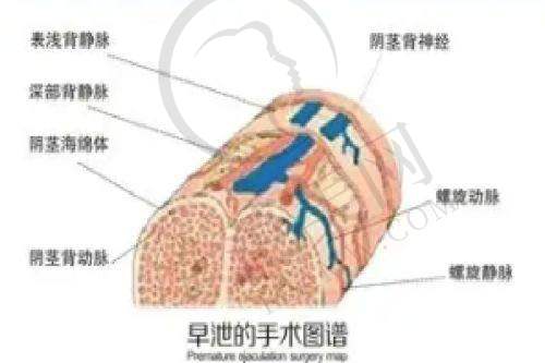 四、四川华 西医院整容科预约就诊流程是怎样的?
