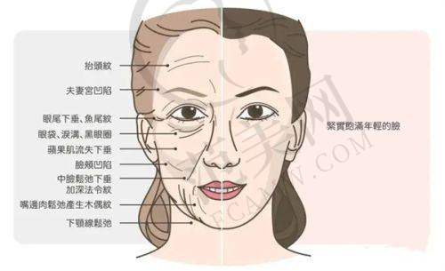 东莞维多利亚医疗美容医院价格表