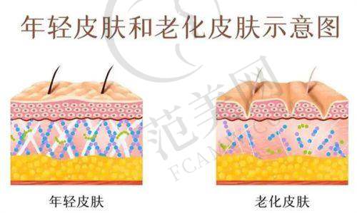 九、上海宏康医院疤痕科：排名领跑的专精之选