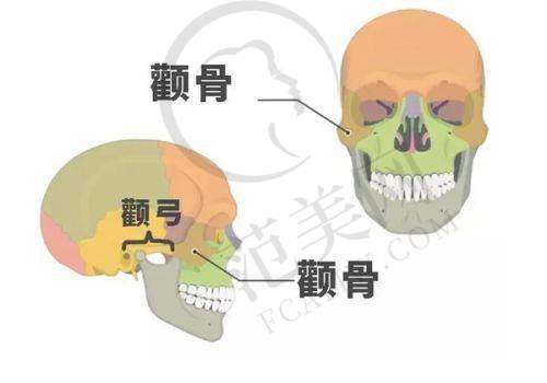 天津脂肪填充凹凸不平修复精选：天津西兰医疗美容门诊部