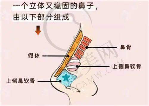 易成刚医生的学术研究与贡献