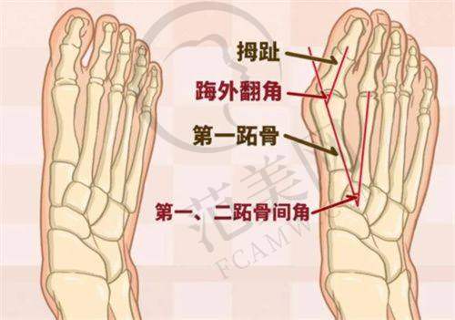 重庆星荣整形医院项目特色