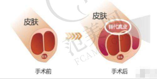 合肥瑞亚医疗美容门诊部项目特色