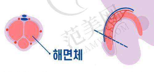 武汉美丽尔医疗整形医院基本信息