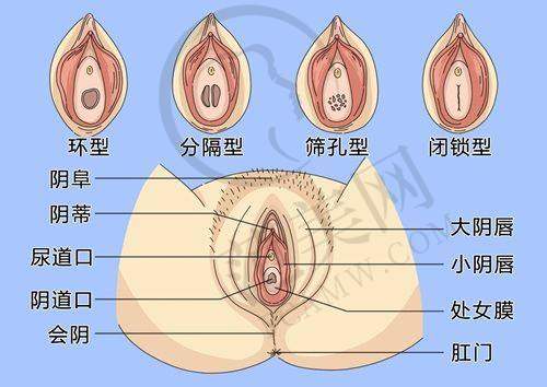 厦门薇格整形美容医院医生简介