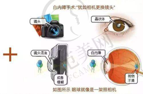合肥凯婷医疗美容门诊部项目特色