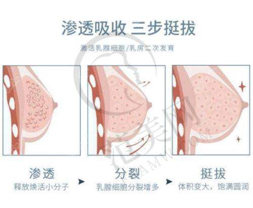 包头华美医疗美容医院医生简介