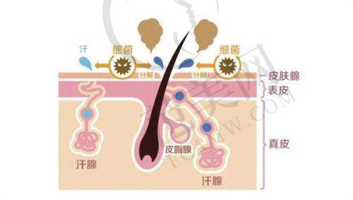 上海爰美仕医疗美容门诊部项目特色