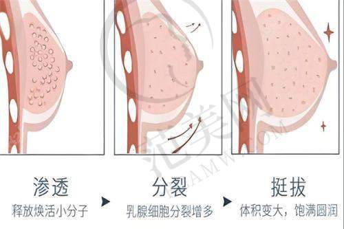洛阳维多利亚周芮医生的坐诊医院
