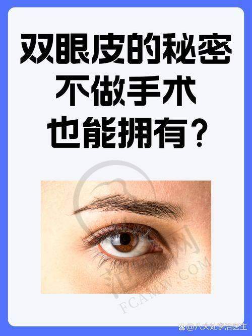 叶飞医生的执医荣誉成就