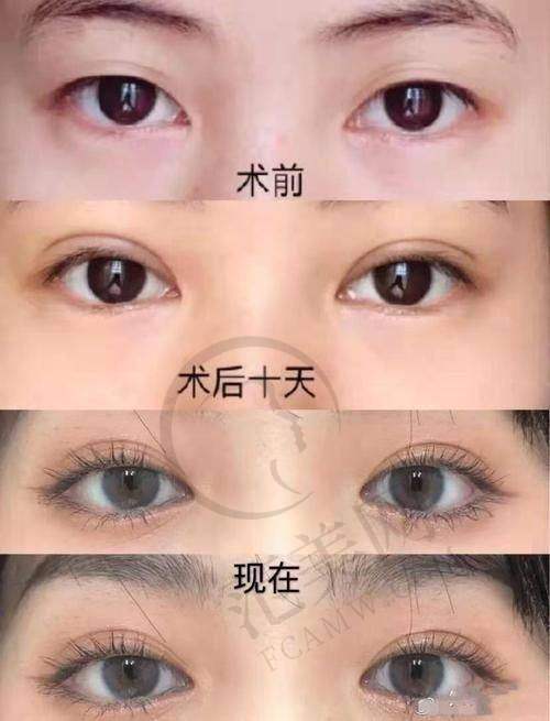 倪形斌医生的个人资料简介