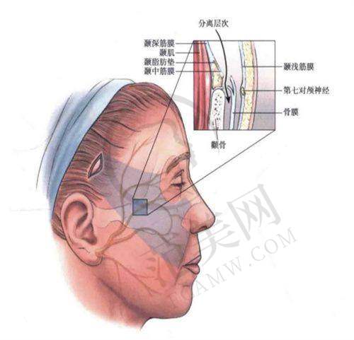 冯少清眼修复费用为啥高？背后原因全剖析
