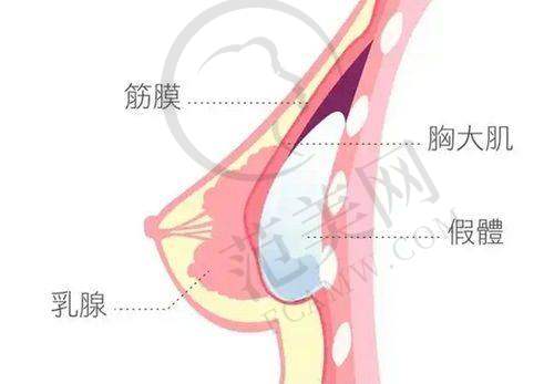 南通维多利亚瑞蓝唯瑅轮廓固定10335元起的服务体验