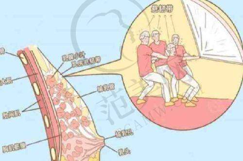 襄阳合美医疗美容门诊部基本信息