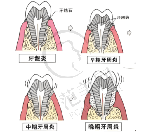 新乡市牙科排名第二的医院有什么特色?