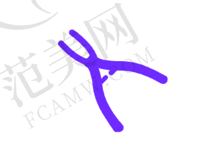 周六也能看牙的成都第二人民医院牙科挂号预约：周六就诊要注意啥？