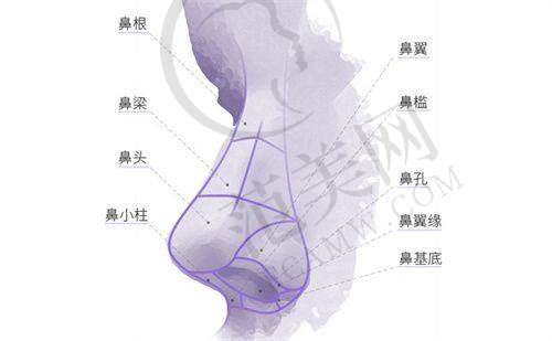 石家庄雅芳亚整形价目表一览：眼部整形其他项目价格详情