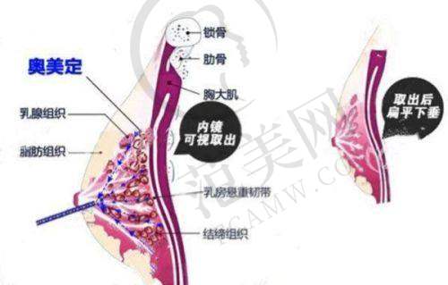 三、广州荔湾清奥中 心取生长因子价格如何？合理收费有优惠