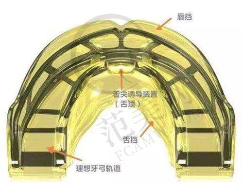 唐山口腔价格一览之种植牙价格详情
