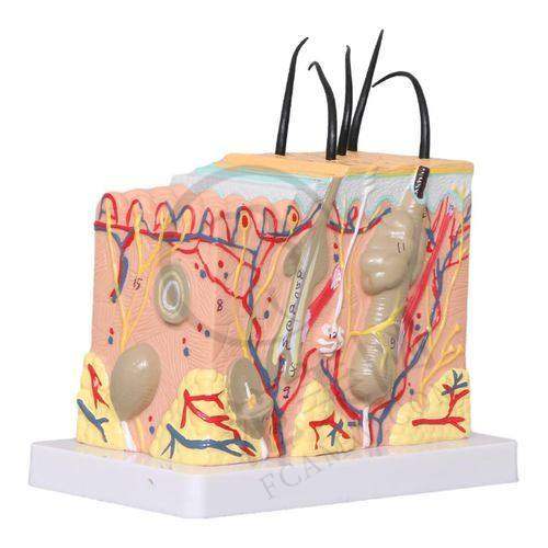 杭州胎记疤痕治疗——杭州妇幼保健院医疗美容科