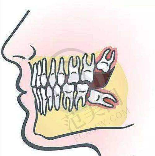 上海维乐口腔预约挂号，可通过线上平台和电话完成，享便捷服务与专业诊疗